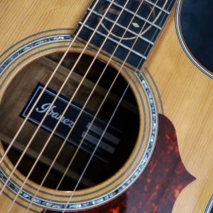 We Have To Go Deeper – Ibanez AE255BT Baritone 184 | Daily Guitar