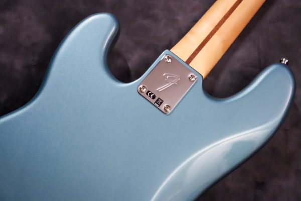 282 Fender Player P-Bass